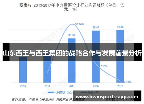 山东西王与西王集团的战略合作与发展前景分析